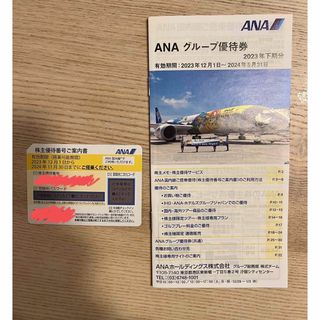 エーエヌエー(ゼンニッポンクウユ)(ANA(全日本空輸))のANA 株主優待優待券　1枚(航空券)