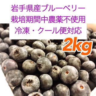 岩手県産ブルーベリー冷凍2kg(フルーツ)