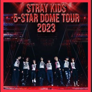 stray kids Social Path 未使用シリアル 28口