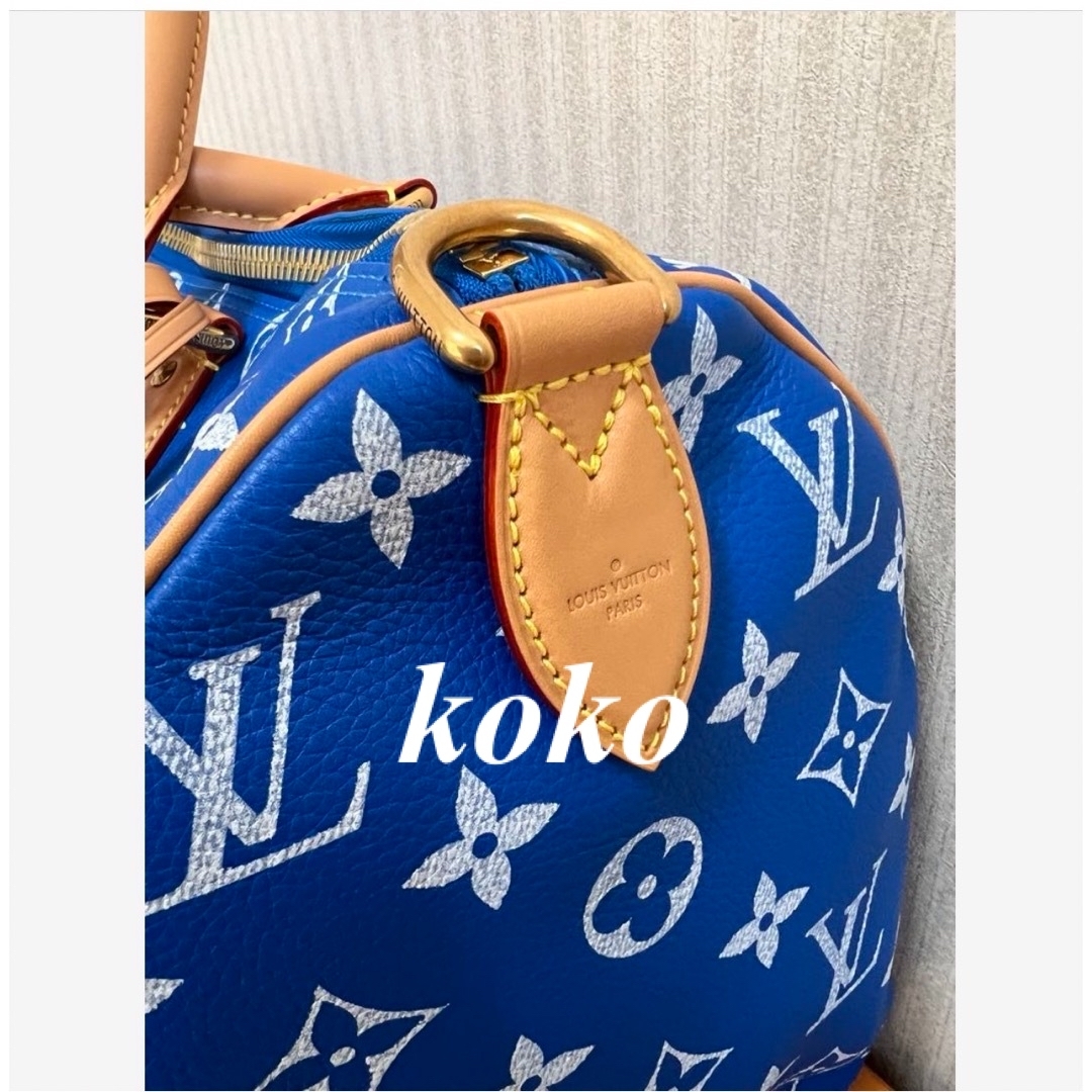 LOUIS VUITTON(ルイヴィトン)のルイヴィトン　スピーディP9  バンドリエール40 M24419 レディースのバッグ(ハンドバッグ)の商品写真