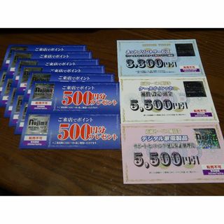 ノジマ　家電　株主優待券　nojima(ショッピング)