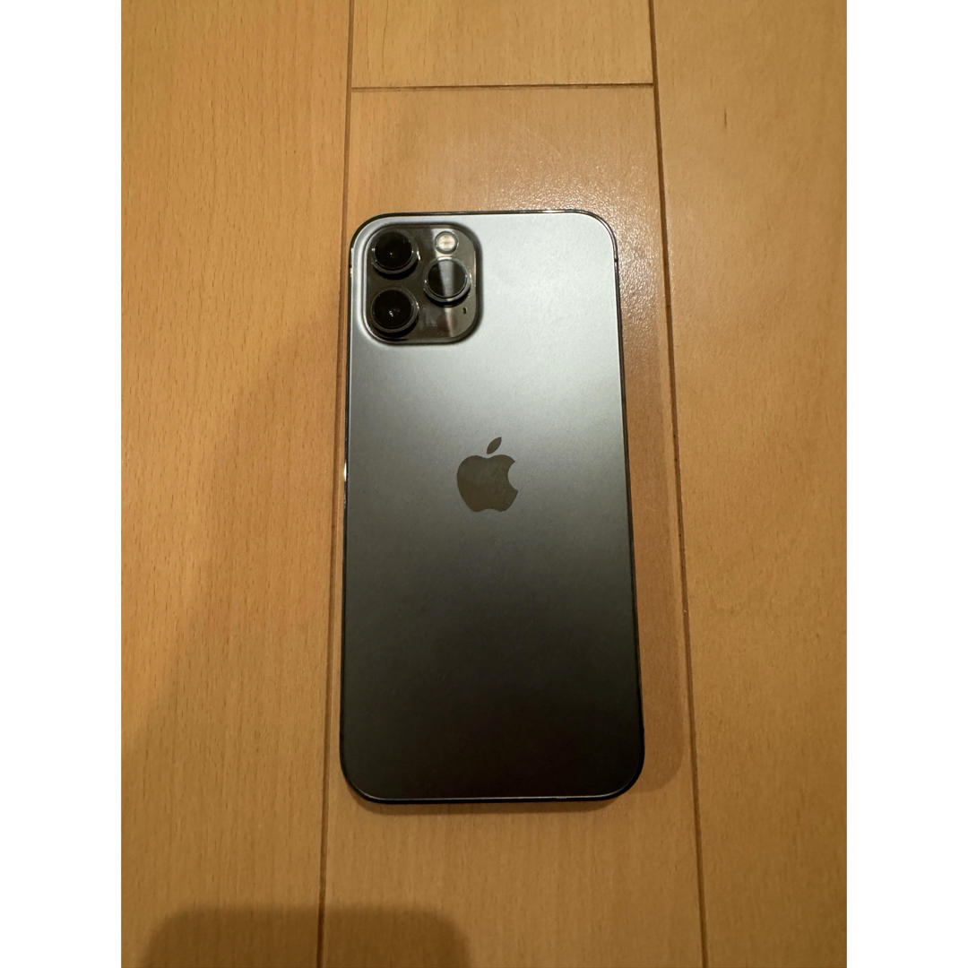 iPhone12ProMax256G