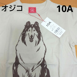 オジコ(OJICO)の新品 男の子 女の子 オジコ 半袖Tシャツ 10A(Tシャツ/カットソー)