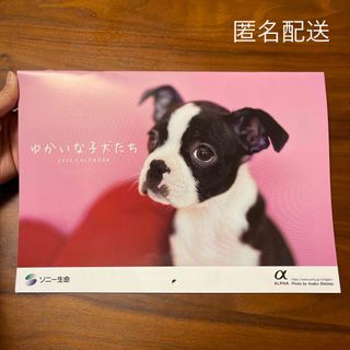 2024年版ゆかいな子犬たちカレンダー ソニー生命 非売品(カレンダー/スケジュール)