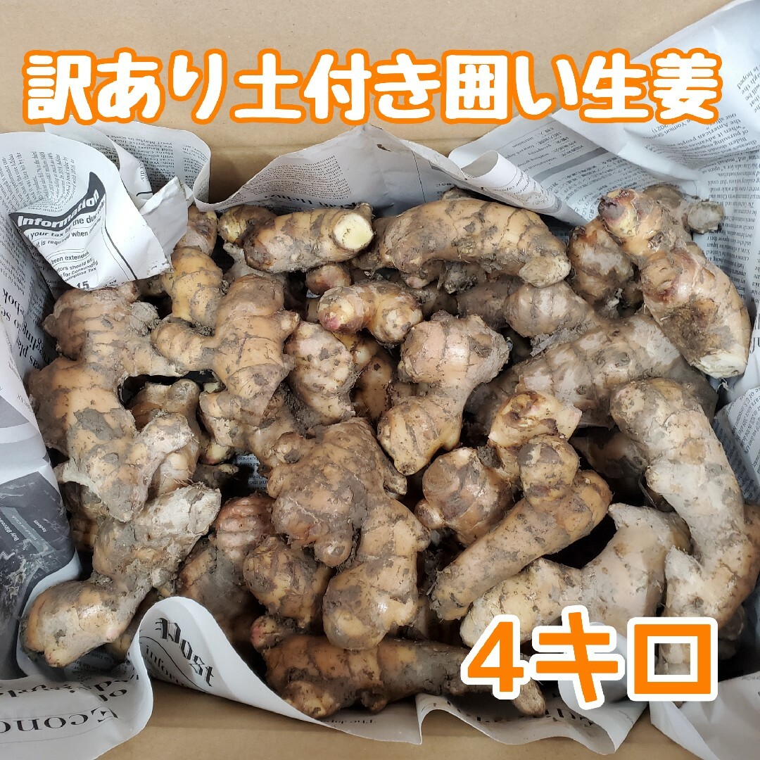 訳あり土付き囲い生姜4kg 食品/飲料/酒の食品(野菜)の商品写真