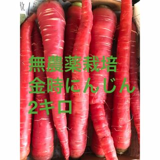 無農農薬栽培　金時人参2キロ　今週末まで‼️(野菜)