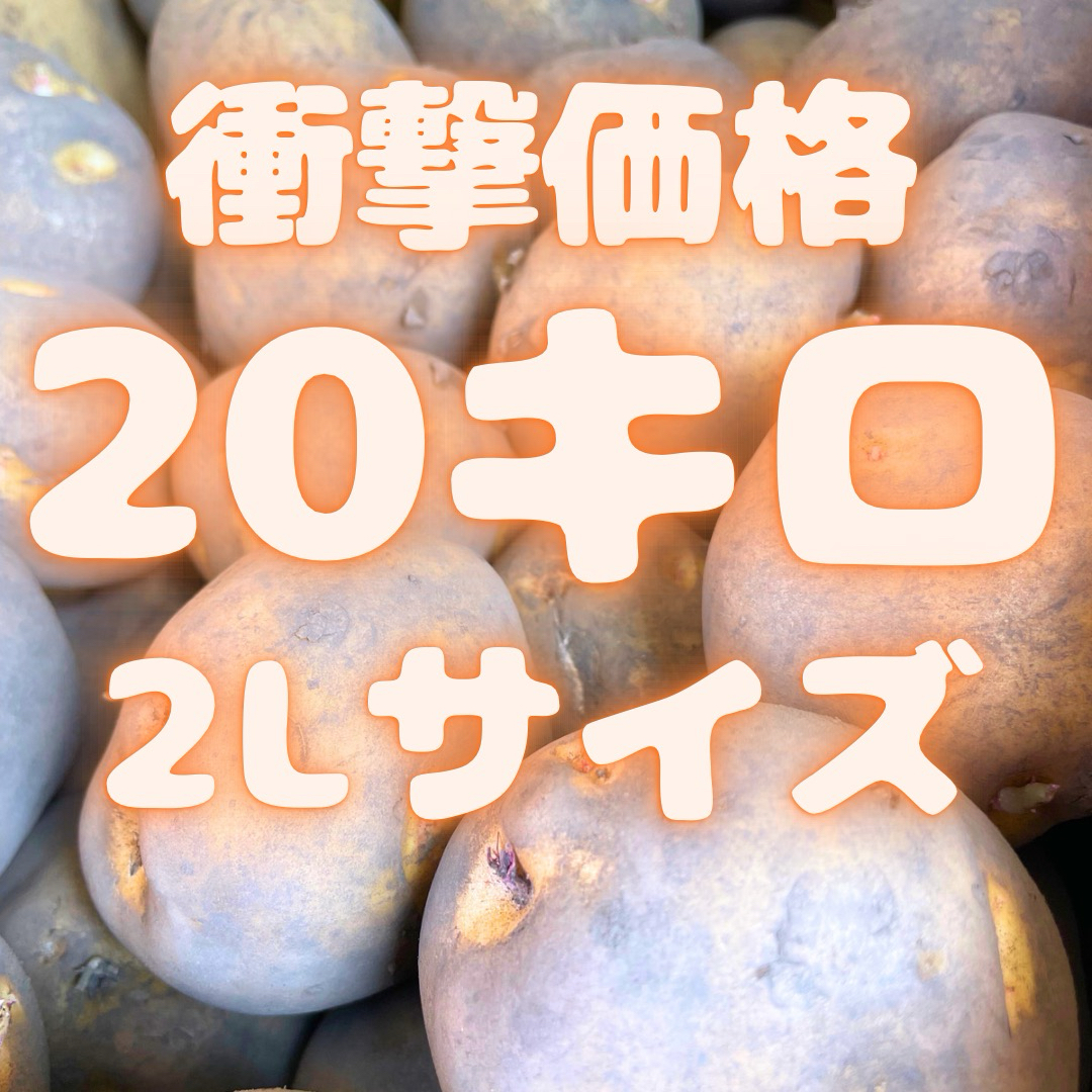 ❗️衝撃価格❗️北海産　20キロ　2Lサイズ　サッシー　99 食品/飲料/酒の食品(野菜)の商品写真