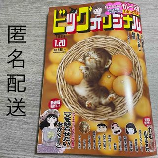 ショウガクカン(小学館)のビッグコミックオリジナル　2024.1.20(漫画雑誌)