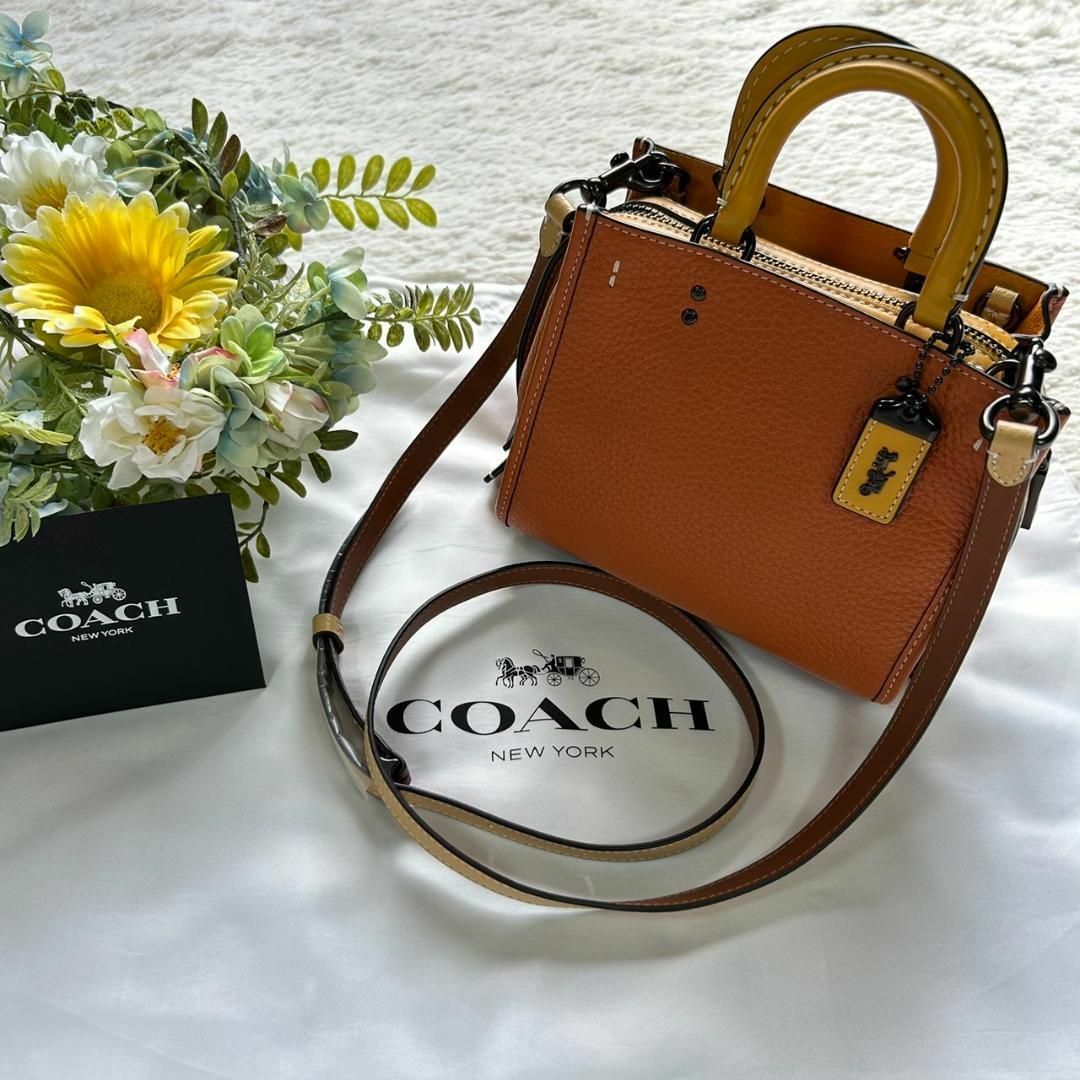 ✨️COACHショルダーバッグ✨️保存袋付き✨️即購入OK✨️美品✨️