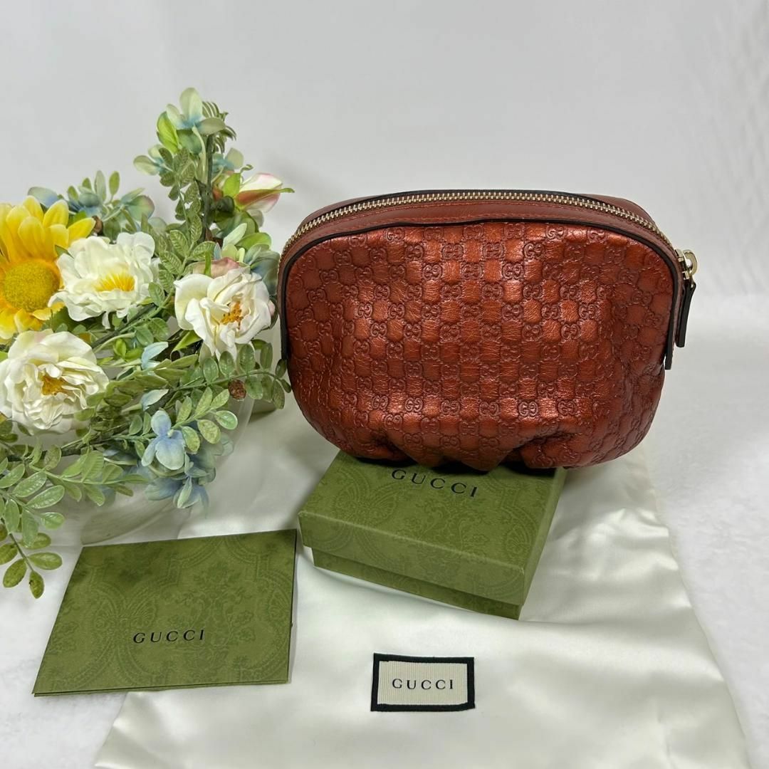 Gucci - ☆超美品☆グッチ マイクロシマ 化粧ポーチ GG柄 レザー 茶 ...