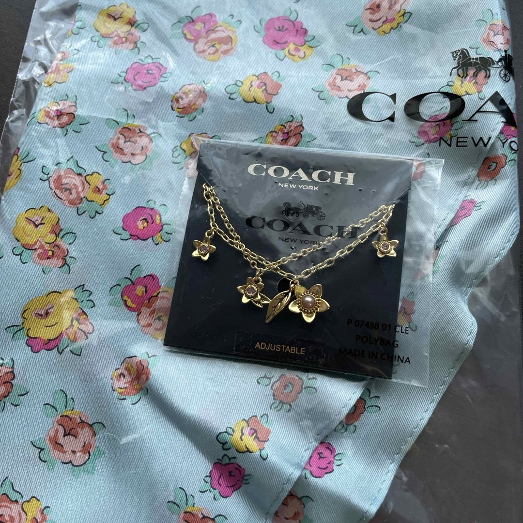 COACH(コーチ)のCOACH福袋２点セット レディースのファッション小物(バンダナ/スカーフ)の商品写真