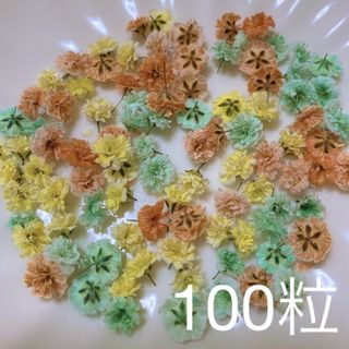 オレンジ×ミントグリーン系 かすみ草ドライフラワー100粒(ドライフラワー)