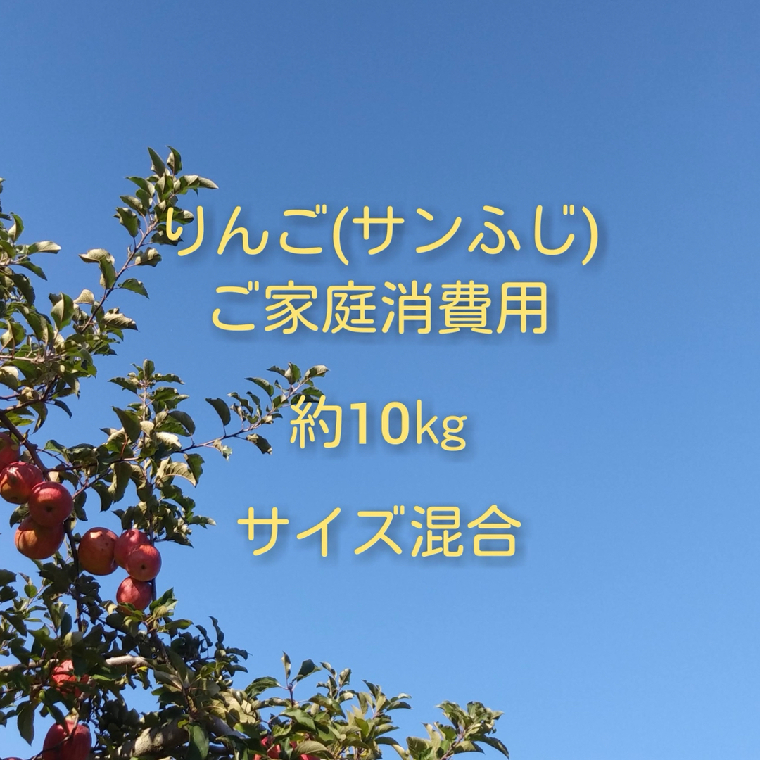 りんご(サンふじ)訳ありご家庭消費用 約10kg 中玉〜小玉サイズ混合 食品/飲料/酒の食品(フルーツ)の商品写真