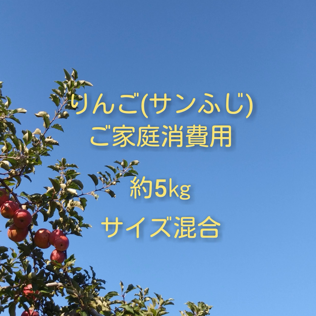 りんご(サンふじ)訳ありご家庭消費用 約5kg 中玉〜小玉サイズ混合 食品/飲料/酒の食品(フルーツ)の商品写真