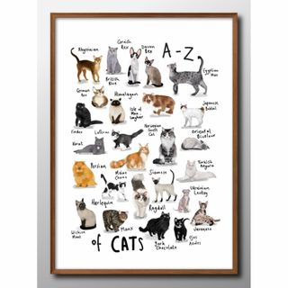14462■A3アートポスター『猫　図鑑　品種』絵画 イラスト マット(その他)
