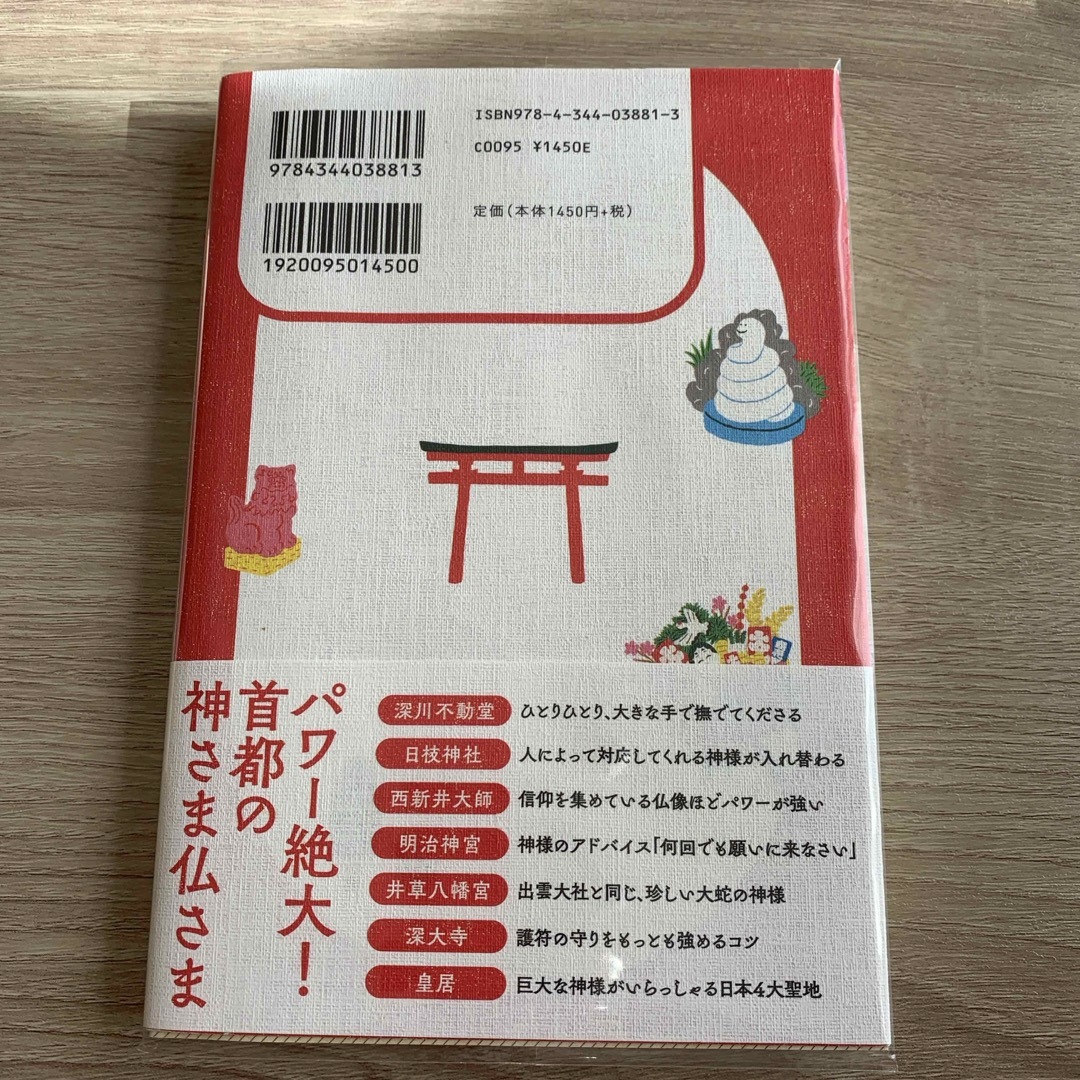 幻冬舎(ゲントウシャ)の東京でひっそりスピリチュアル エンタメ/ホビーの本(住まい/暮らし/子育て)の商品写真