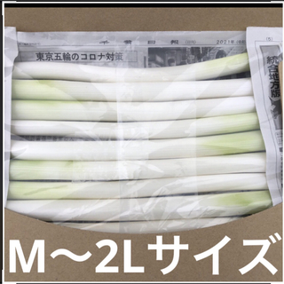 千葉県産　　カット白長ネギ　　A4サイズ(野菜)