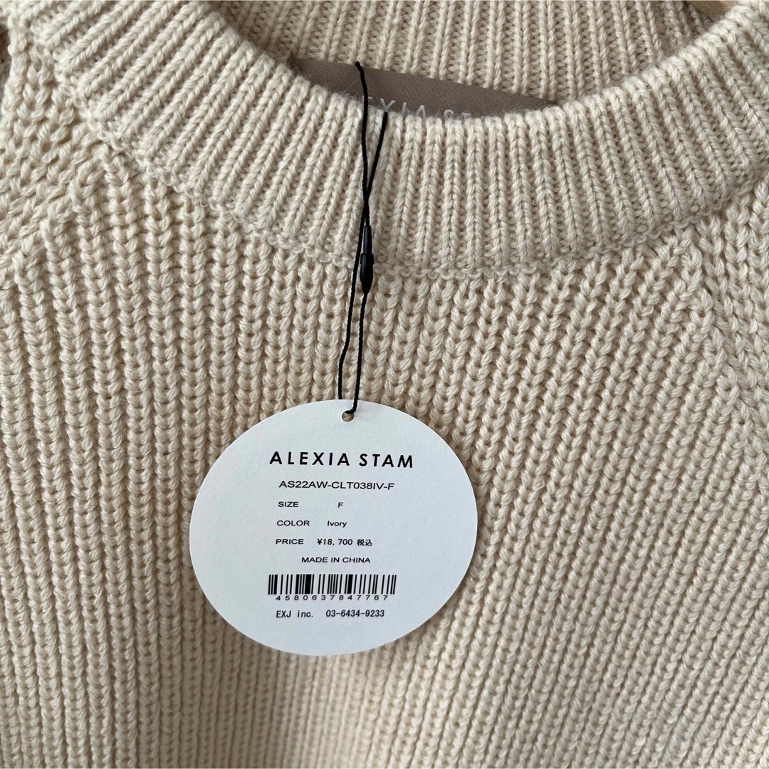 ALEXIA STAM(アリシアスタン)のちーち様専用ALEXIASTAM ニット　トップス レディースのトップス(ニット/セーター)の商品写真