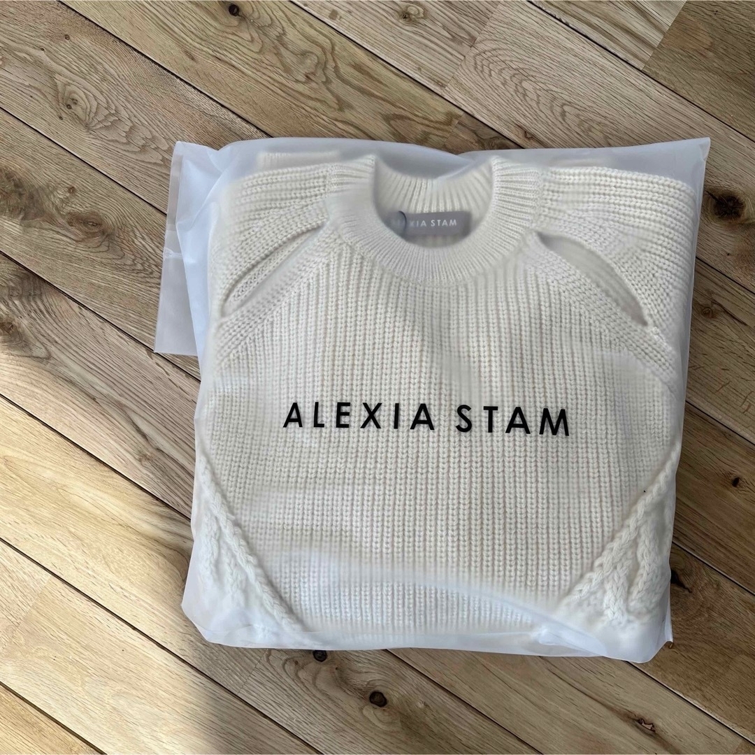 ALEXIA STAM(アリシアスタン)のちーち様専用ALEXIASTAM ニット　トップス レディースのトップス(ニット/セーター)の商品写真