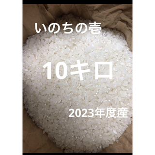 信州産　お米　いのちの壱　10キロ　うるち米(米/穀物)