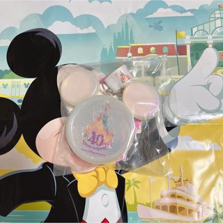 ディズニー(Disney)の新品未使用　ディズニー　40周年　スーベニアスナックケース(キーホルダー)