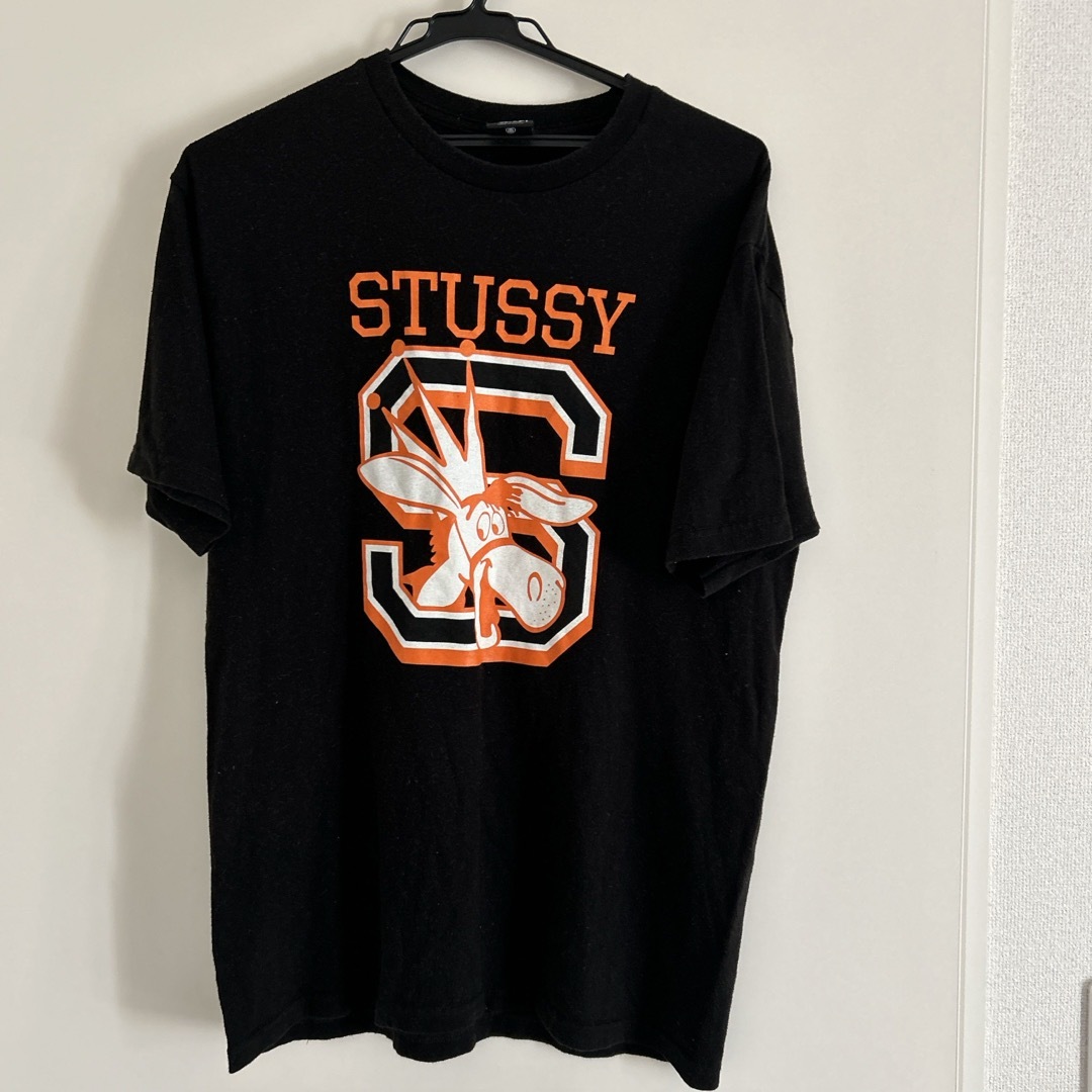 STUSSY(ステューシー)のSNOW様専用　ステューシー  Mサイズ メンズのトップス(Tシャツ/カットソー(半袖/袖なし))の商品写真