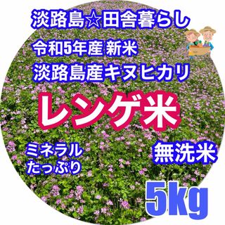 レンゲ米 令和5年新米 5kg キヌヒカリ 無洗米 れんげ米 減農薬 淡路島産(米/穀物)