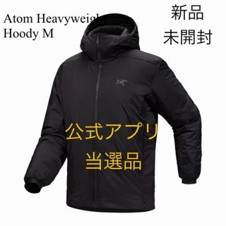 ArcTeryx ダウンベスト アンスラサイト M