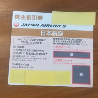 ジャル(ニホンコウクウ)(JAL(日本航空))のJAL 株主割引券(その他)