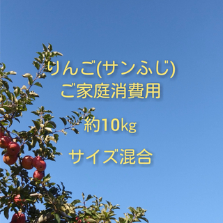 りんご(サンふじ)訳ありご家庭消費用 約10kg 中玉〜小玉サイズ混合(フルーツ)