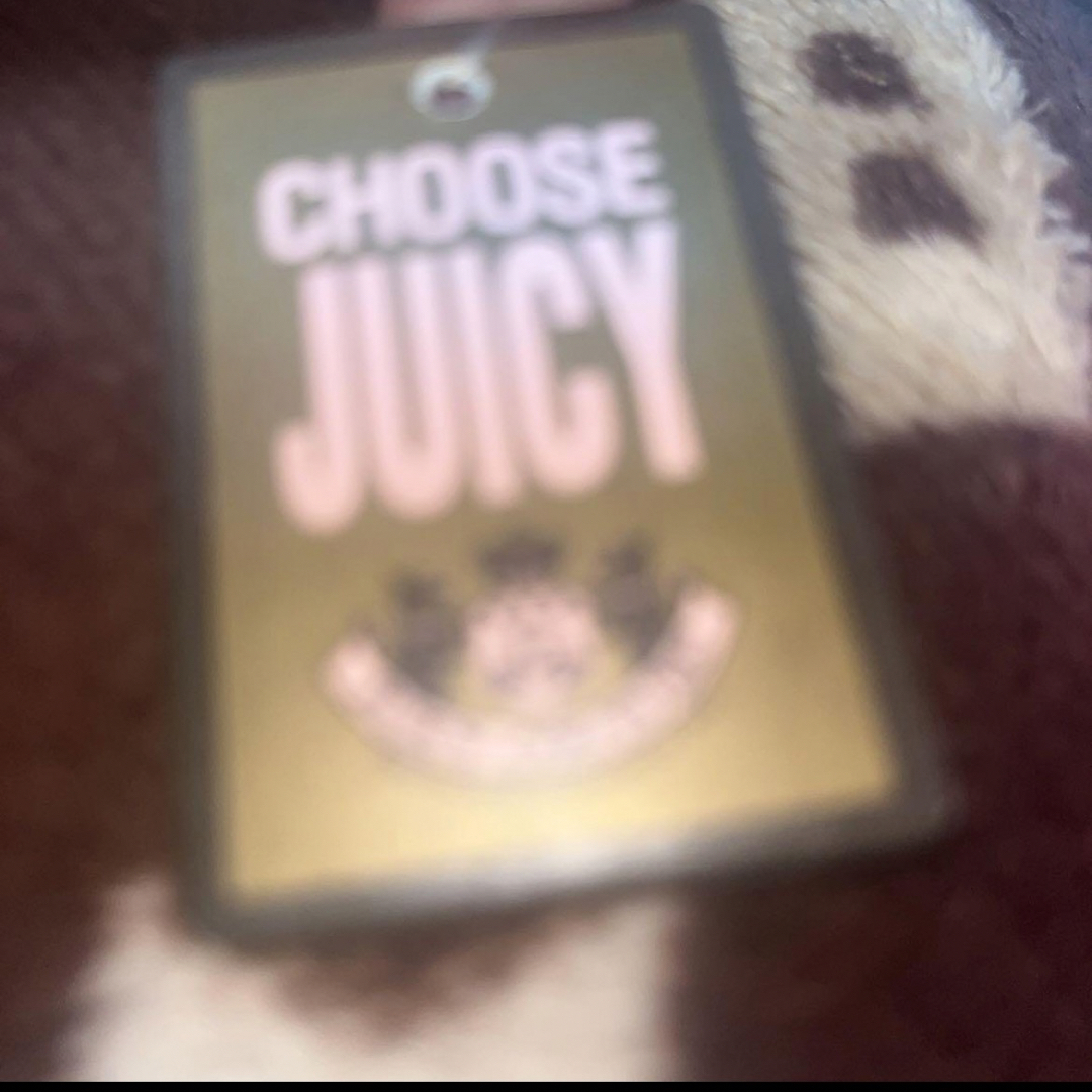 Juicy Couture(ジューシークチュール)のjuicy couture バッグ レディースのバッグ(ショルダーバッグ)の商品写真