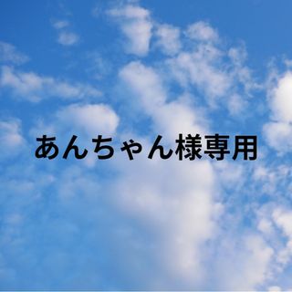 あんちゃん様専用　ウルトラマントリガートレーナー　110(その他)