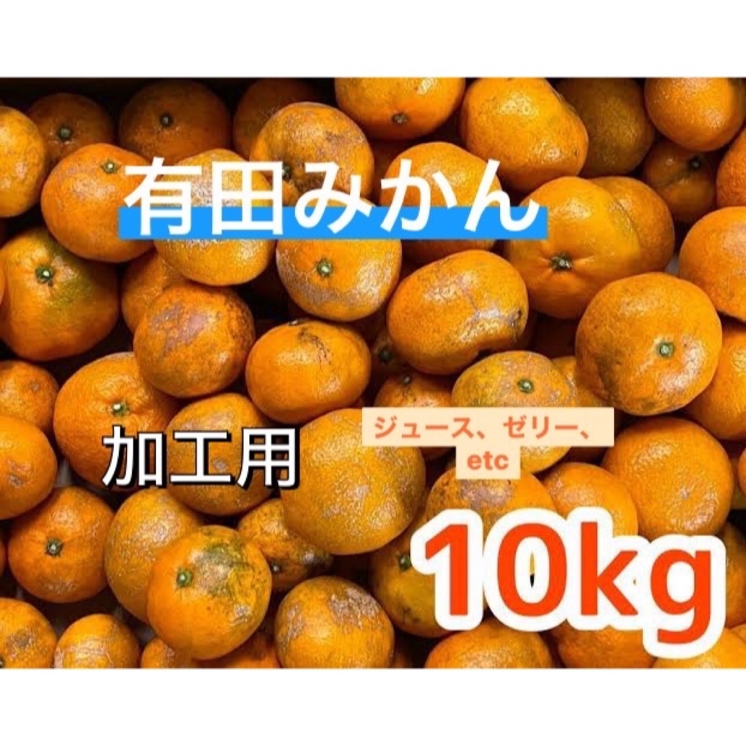 有田みかん　加工用　ジュース、ゼリーetc 10kg 食品/飲料/酒の食品(フルーツ)の商品写真