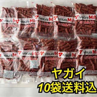 最安値　大人気‼️お徳用　ヤガイのコラーゲン入りミニカルパス250g✖️10袋(その他)