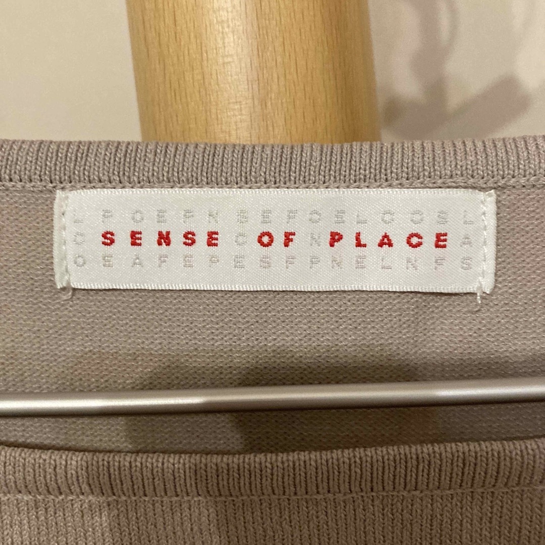 SENSE OF PLACE by URBAN RESEARCH(センスオブプレイスバイアーバンリサーチ)のカットソー メンズのトップス(Tシャツ/カットソー(七分/長袖))の商品写真