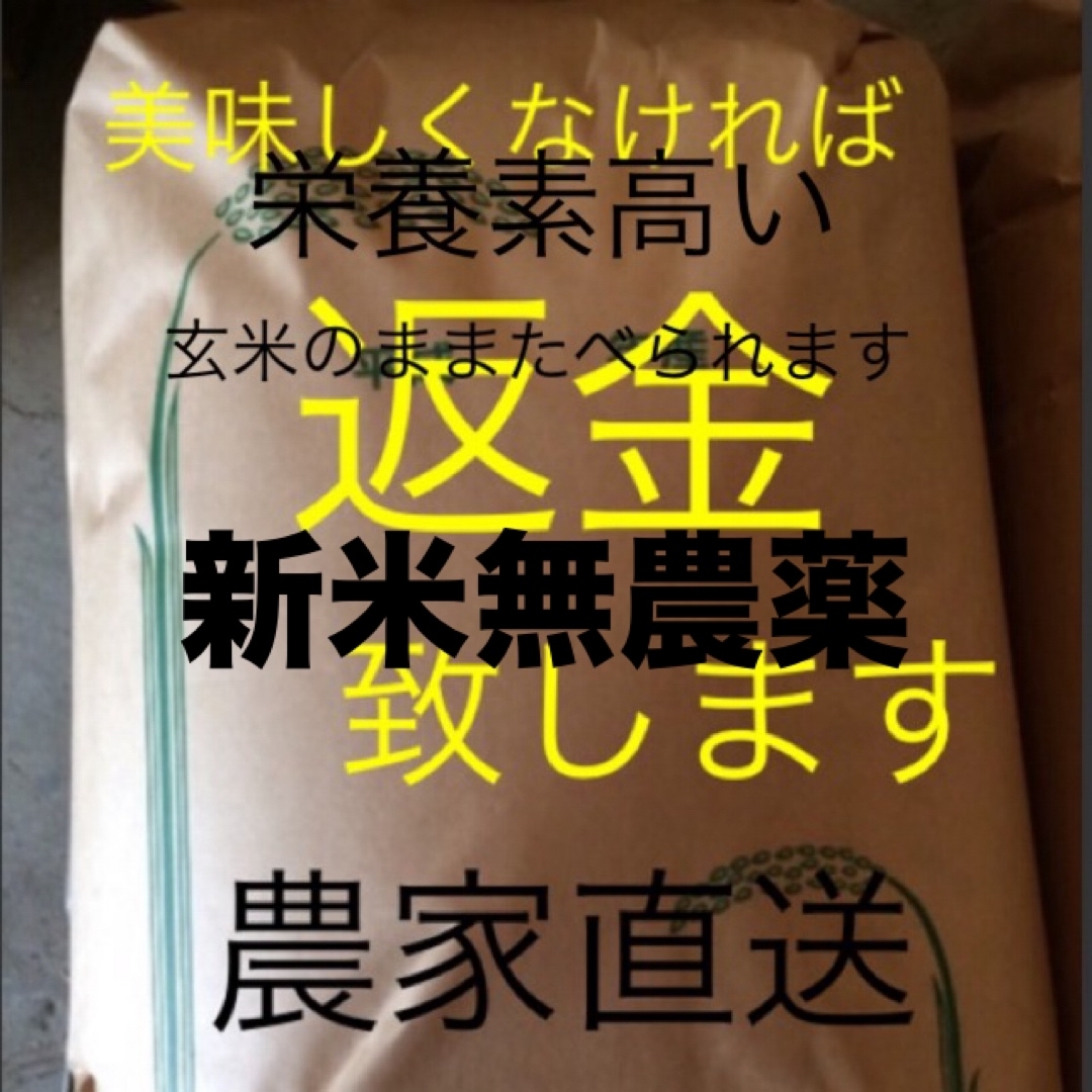 かおりん様専用　新米　無農薬　こしひかり　10㎏ 玄米 食品/飲料/酒の食品(米/穀物)の商品写真