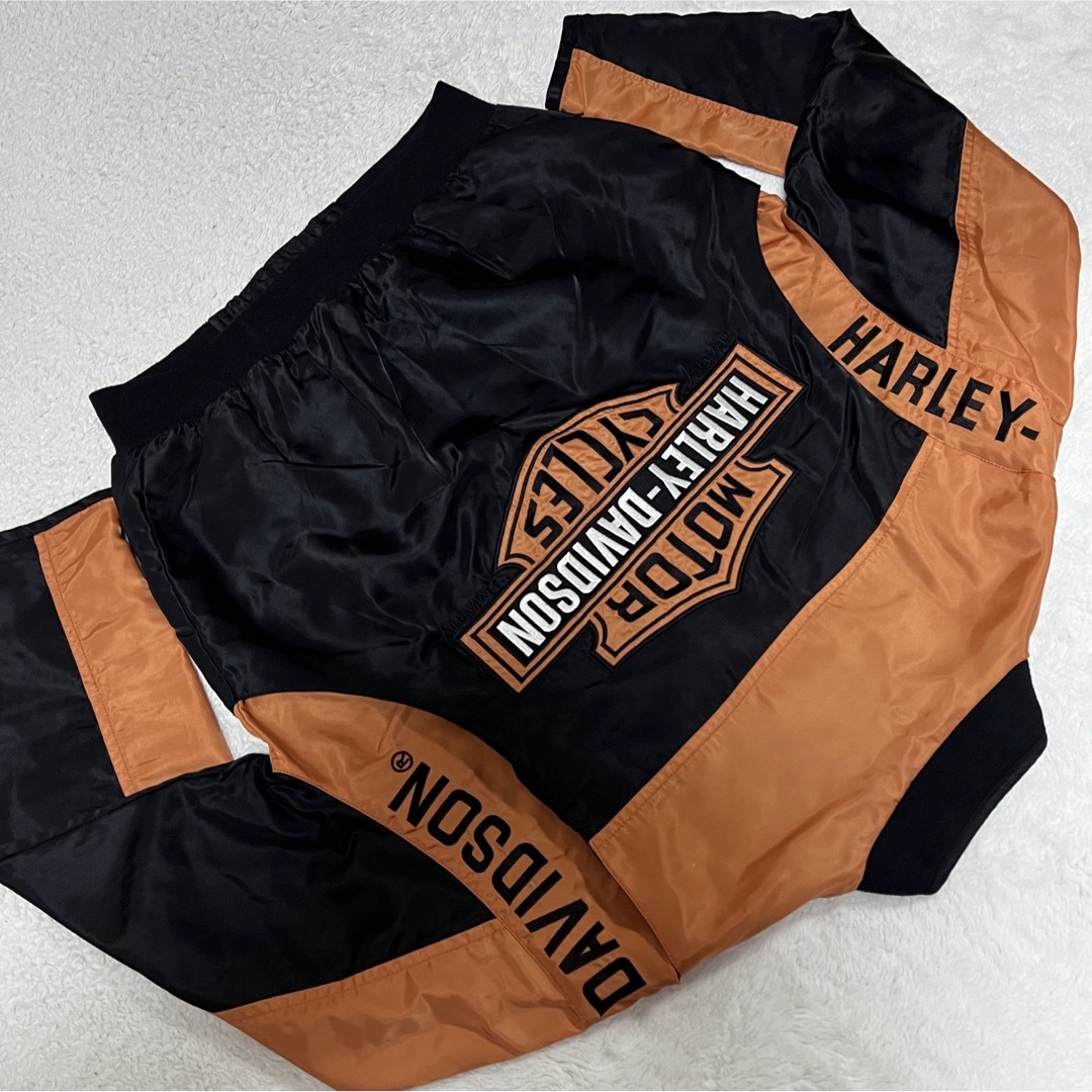 Harley Davidson(ハーレーダビッドソン)のHARLEY-DAVIDSON  ブルゾン ライダースジャケット　メンズML相当 メンズのジャケット/アウター(ライダースジャケット)の商品写真
