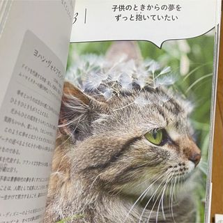 ニャンと読んで考える世界の名言(文学/小説)