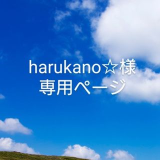 ◯harukano☆様◯専用ページ(体操着入れ)