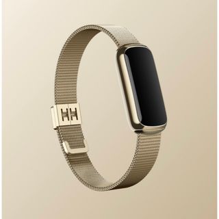 フィットフィット(fitfit)の美品　fitbit luxe 純正ベルト(腕時計)