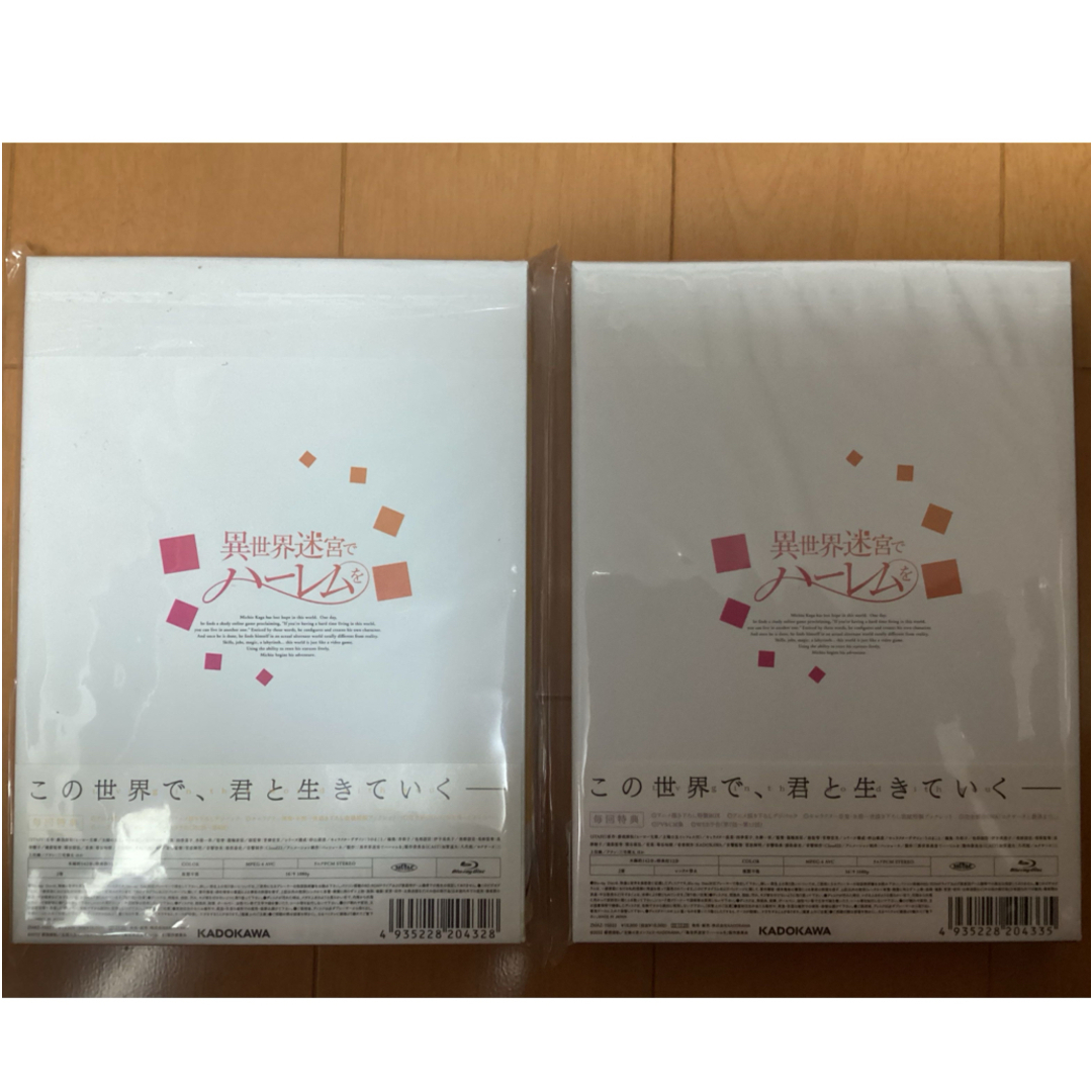 異世界迷宮でハーレムを Blu-ray BOX 上巻下巻《通常版》 アニメ 異世界迷宮でハーレムを Blu-ray BOX 上巻下巻《通常版》 アニメ