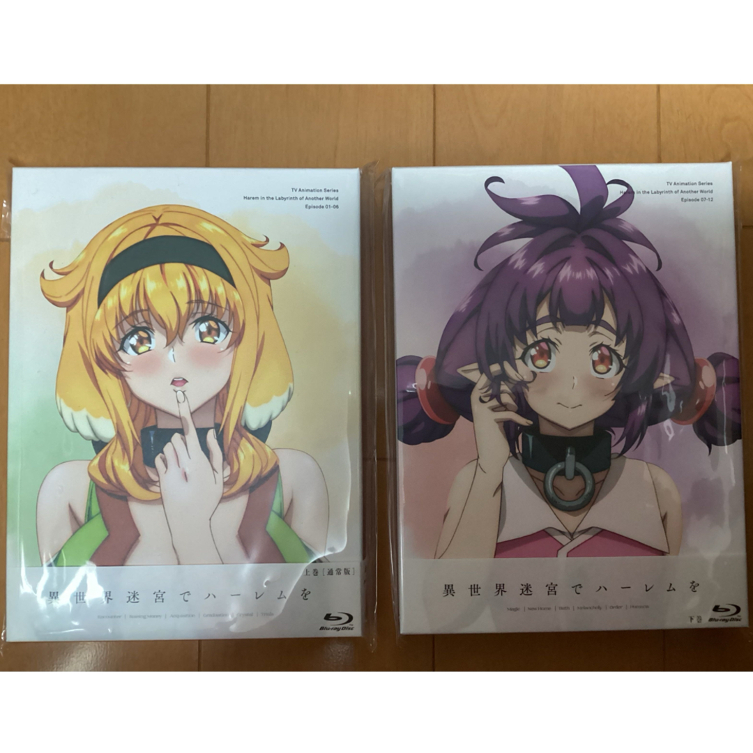 異世界迷宮でハーレムを Blu-ray BOX 上巻下巻《通常版》 アニメ 異世界迷宮でハーレムを Blu-ray BOX 上巻下巻《通常版》 アニメ