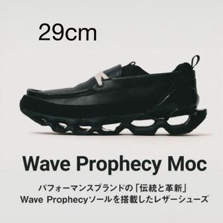 ミズノ(MIZUNO)のMizuno Wave Prophecy Moc 29cm(スニーカー)