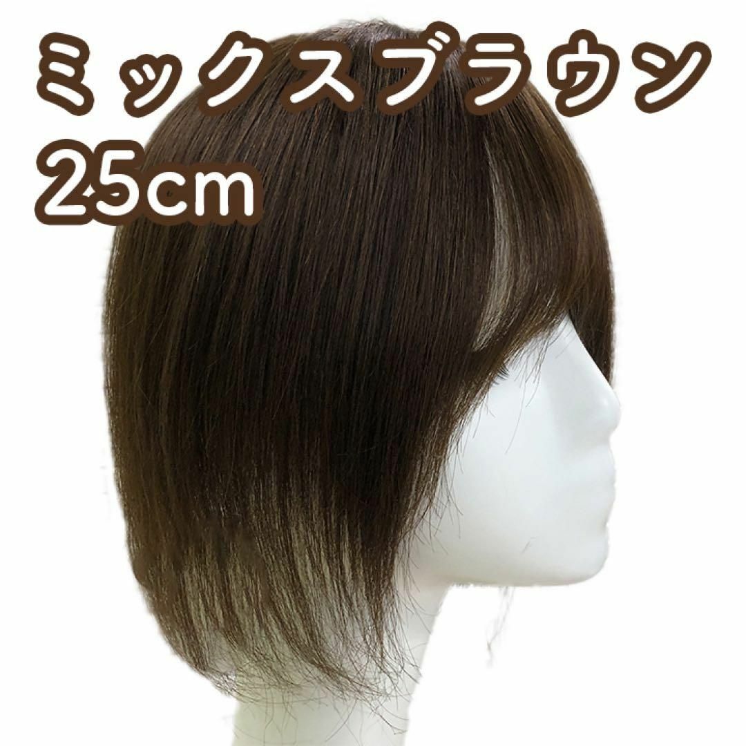 人毛100% 部分ウィッグ ヘアピース 頭頂部 ミックスブラウン【25cm】 レディースのウィッグ/エクステ(ショートストレート)の商品写真