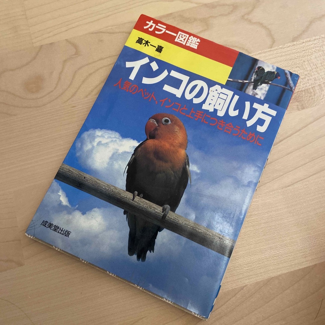 インコの飼い方 エンタメ/ホビーの本(住まい/暮らし/子育て)の商品写真