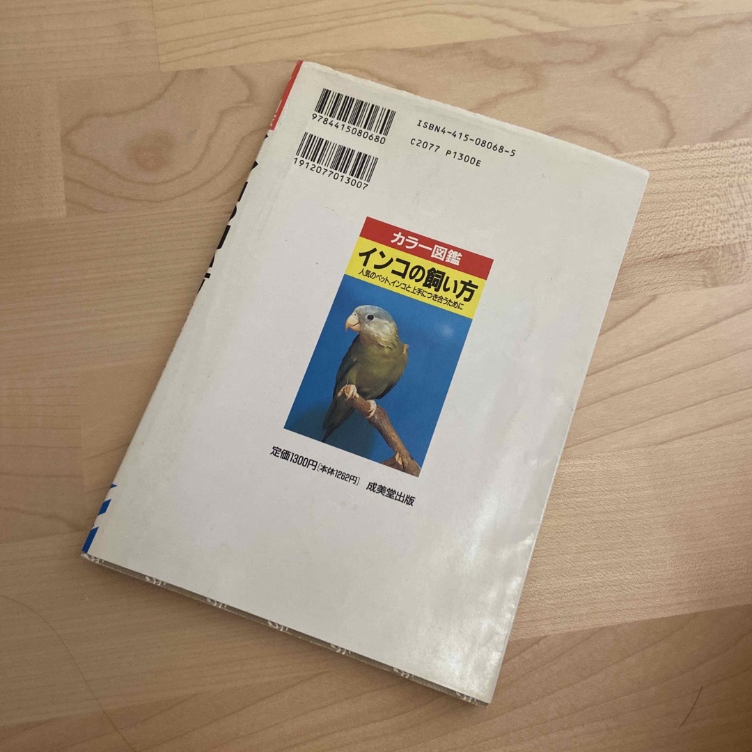インコの飼い方 エンタメ/ホビーの本(住まい/暮らし/子育て)の商品写真