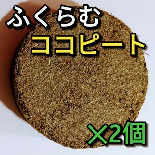 ココピート(膨張後約1L)　2個(その他)