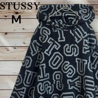 ステューシー(STUSSY)の【希少】ステューシー　Ｍ　総柄　パーカー　プルオーバー　フード　長袖　メンズ(パーカー)