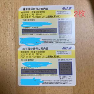 エーエヌエー(ゼンニッポンクウユ)(ANA(全日本空輸))のANA株主優待　2枚(航空券)