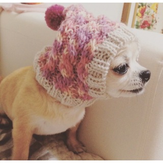 monotone様 手編み◆ 犬用帽子 ◆ イタグレ 小型犬 ウエア 犬 ぼうし(ペット服/アクセサリー)